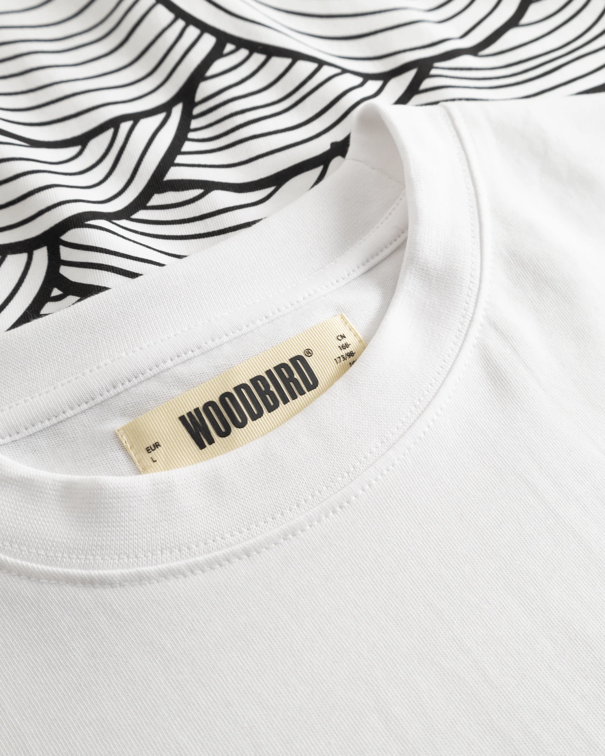 WBBaine Sea Tee - Image 6